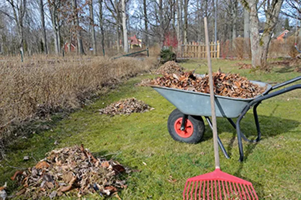 мусор на участке